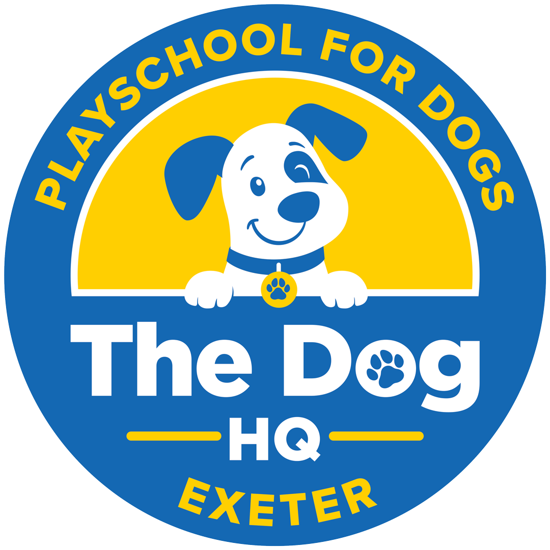 The Dog HQ Exeter Logo